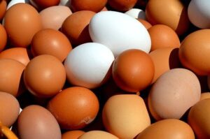 como-perder-peso-rápido-ovos-proteína-animal-ajuda